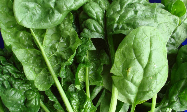 Врач назвала продукт, который может снижать аппетит